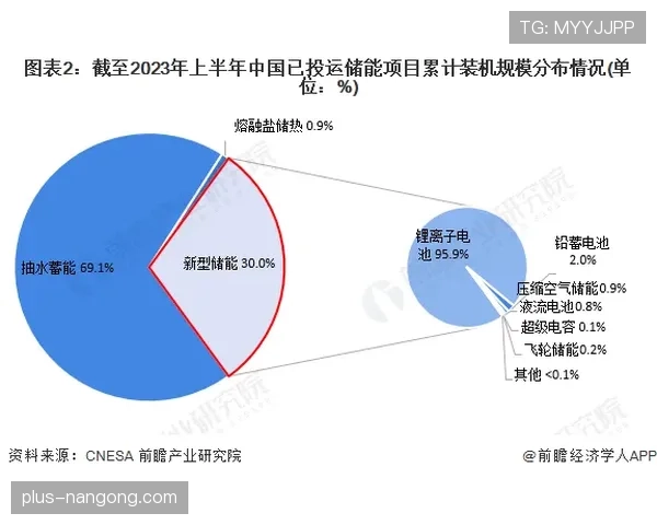 菲利克斯与穆西亚拉：技术型天才成长路径分化分析